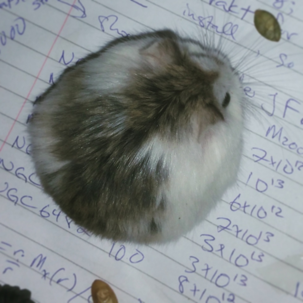 IMG_20170302_235628_249 (1)