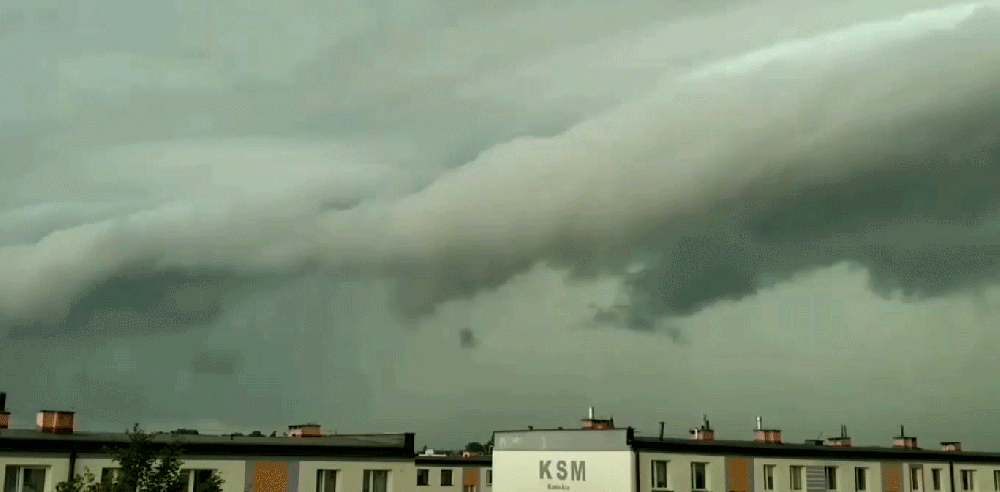 Arcus-Shelf-Stabilized-Contrast-LARGE